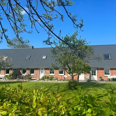 Friesenfein Risum-Lindholm